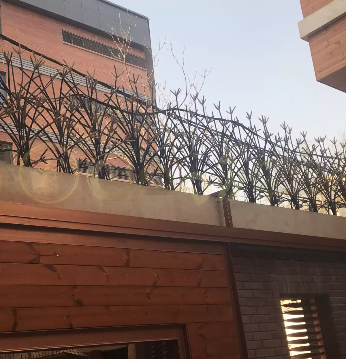 حفاظ لیلیوم تراکم 75 گل 100 سانت 2 متری 5 بوته سفید کوره ای